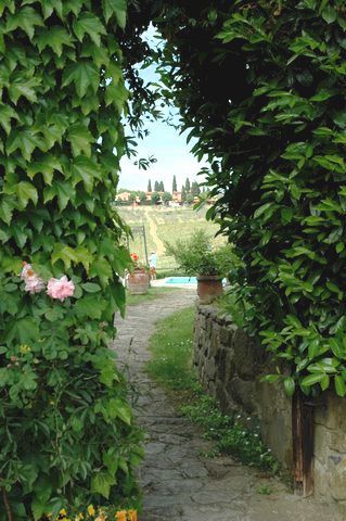 Chemin de campagne à travers les vignobles près de Greve in Chianti